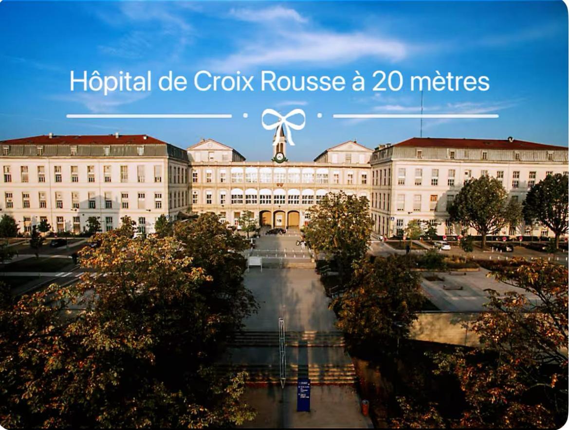 Art De Recevoir - L'Ecrin De Margnolles - Croix Rousse - Metro C-Cuire Caluire-et-Cuire Exteriör bild